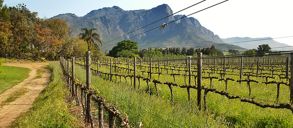 Lynx Winery, Franschhoek, SA
