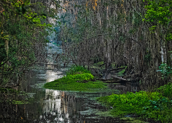 Shingle Creek Wildlife Mgmt Park