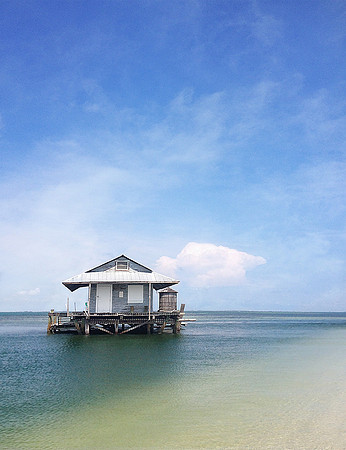Stilt Home