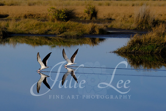 _JLX7411-Edit