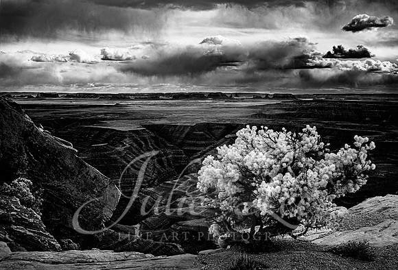 Goosenecks of the San Juan River (infrared)