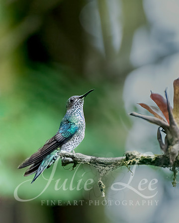 _J758398-Edit