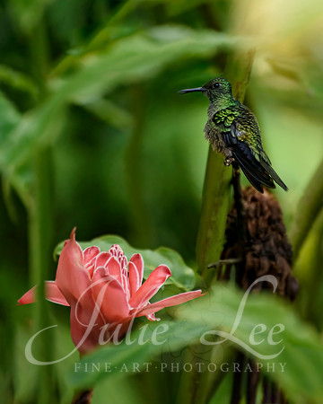 _J758422-Edit