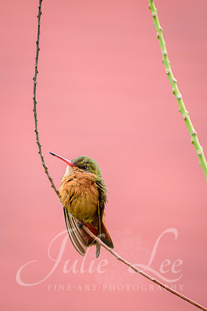 _J758138-Edit