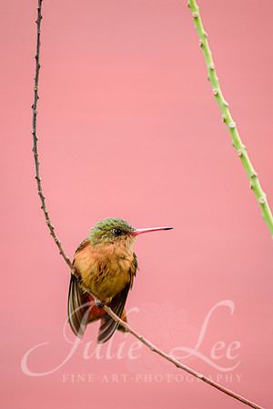 _J758139-Edit