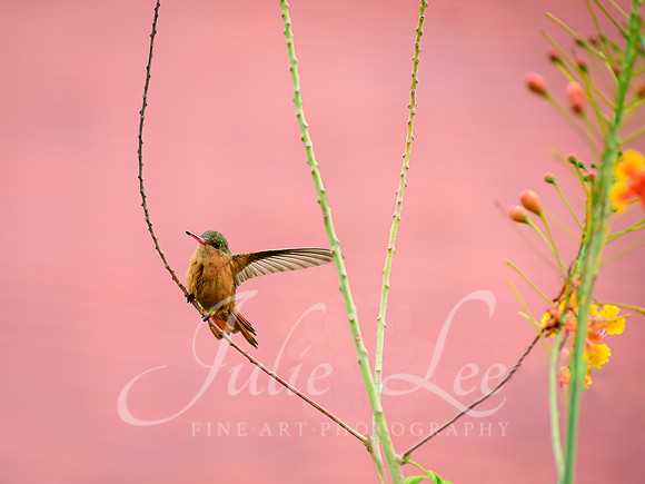 _J758157-Edit