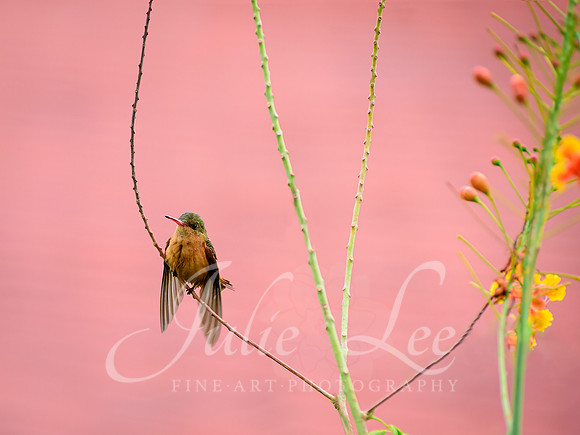 _J758158-Edit