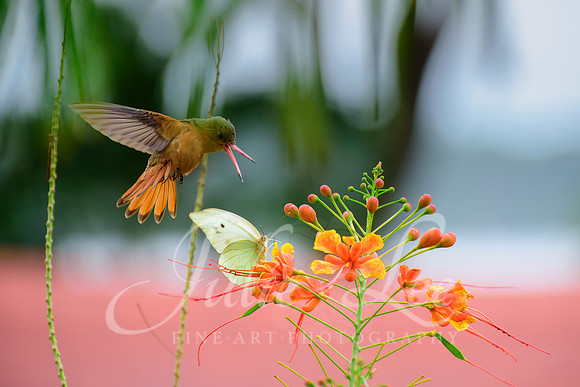That's MY Flower!