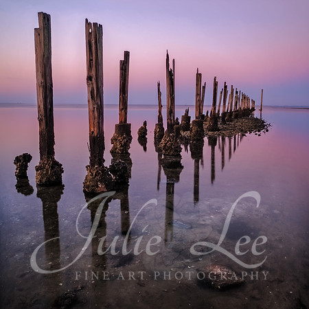 Old Pier, St Marks NWR