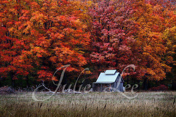 The Woodshed
