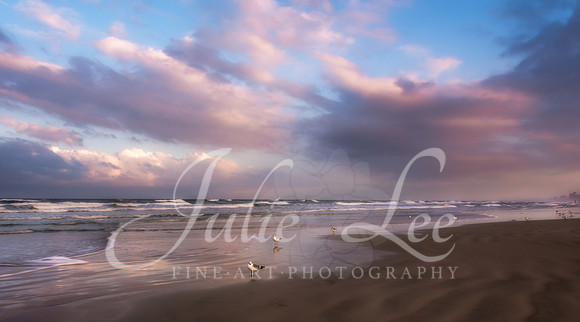 Daytona Blue Hour