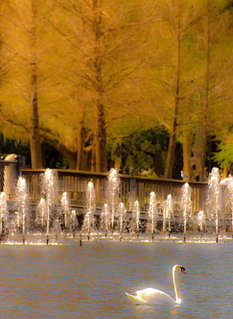 Lake Eola