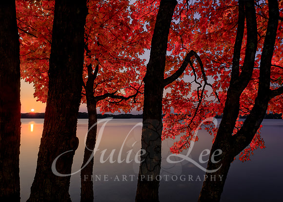 _JL33340-Edit