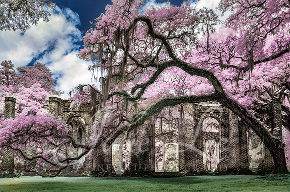 Church Ruins