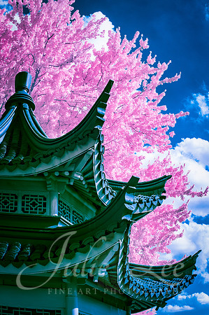 Pagoda in Spring