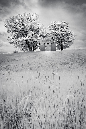 Little Church on a HIll v2