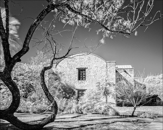 The Alamo