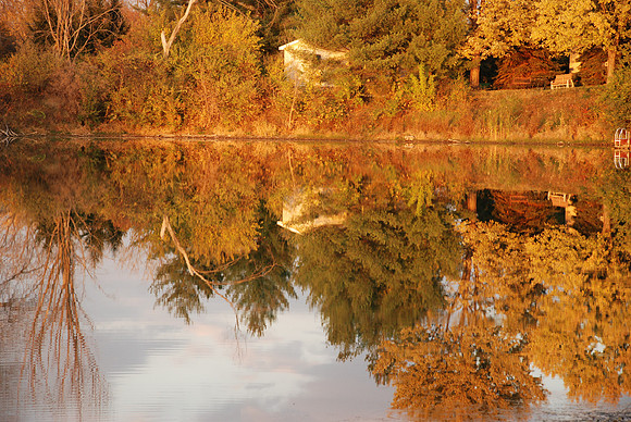 Fall Foilage